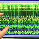 DNA data on a computer monitor. Image: AP